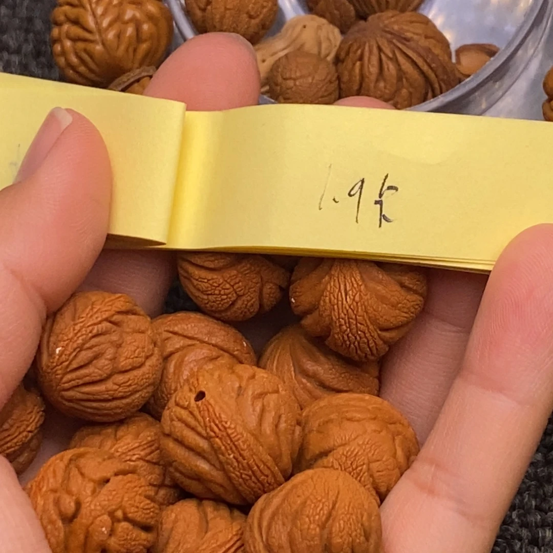 秦岭山脉龙纹桃核 14