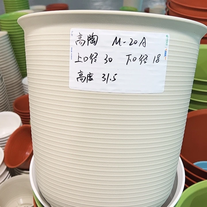 正品高陶口30高30米色无托3只