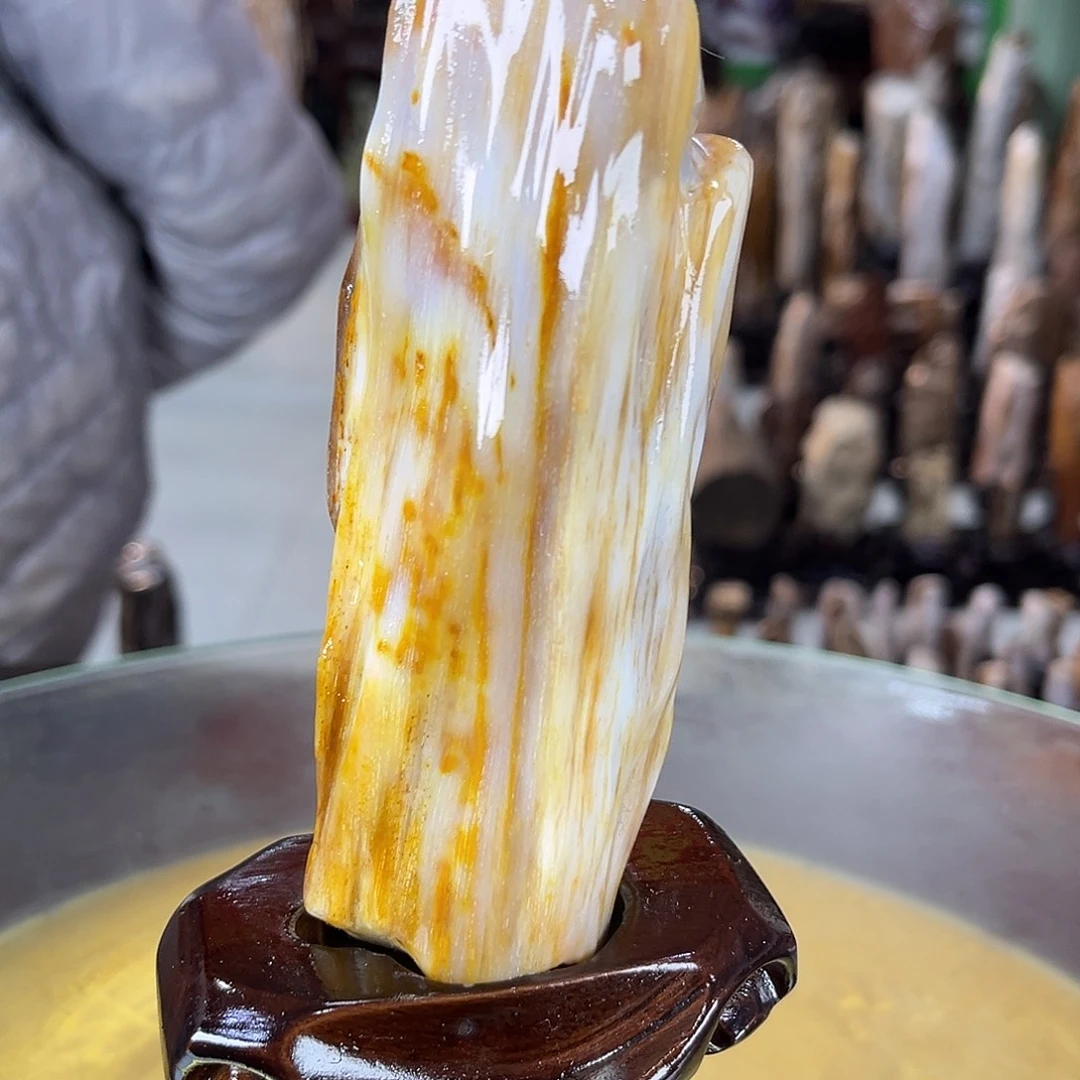 硅化玉未镶嵌珠宝奇石缅甸天然树化玉摆件