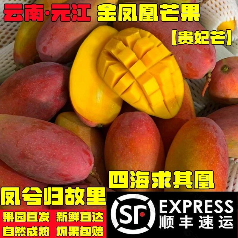 【顺丰快递】云南新鲜水果元江树上熟金凤凰芒果贵妃芒香甜多汁包邮
