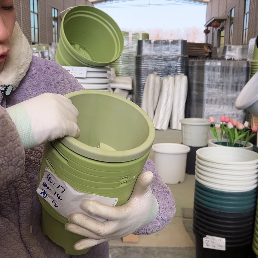 瑕疵球根盆1#果绿10个无托