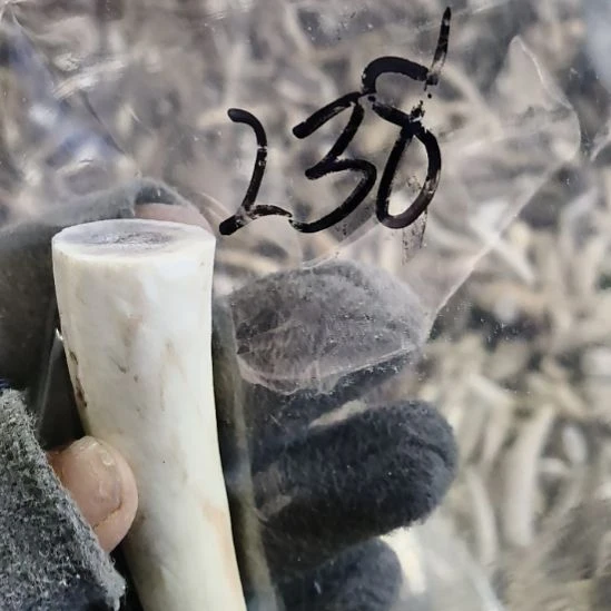 勇***钱鹿角鹿角鹿角鹿角鹿角鹿角