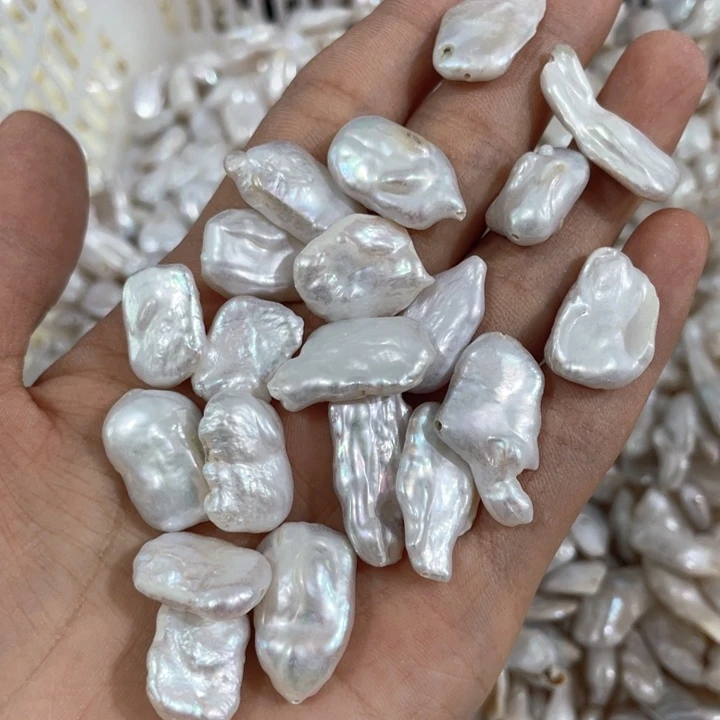 贝壳非金属2个天然巴洛克随机