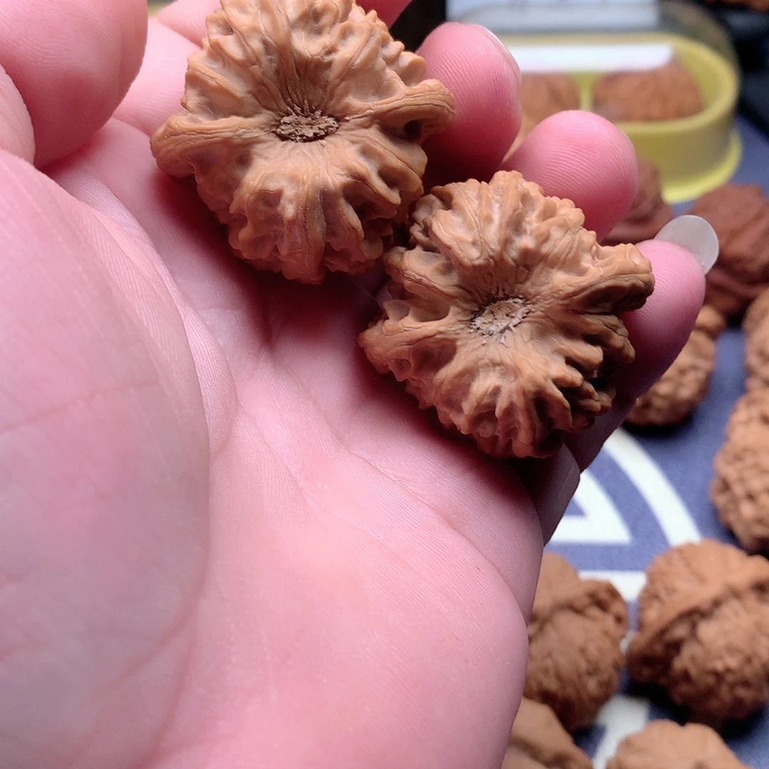 伏***提把件文玩核桃核桃