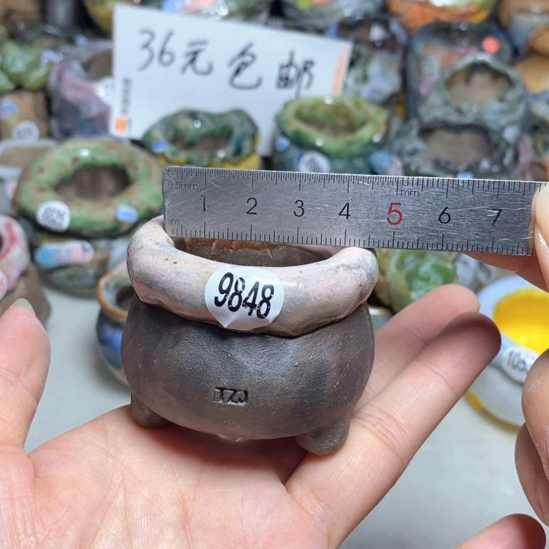 拍3送一个小礼物
