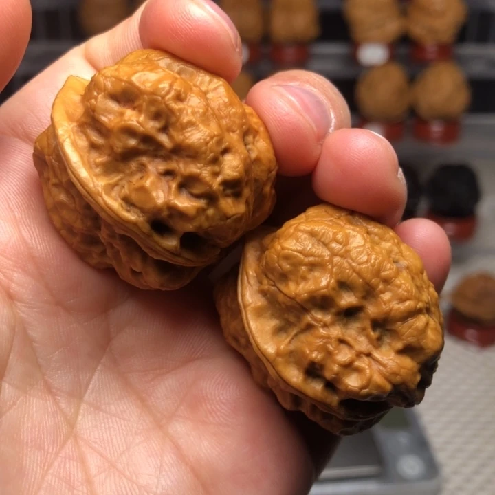 文玩核桃把件1至尊妖蟾