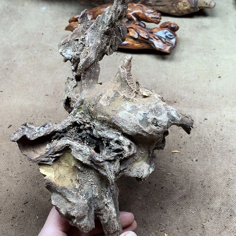 【闪购商品】黄花梨/降香黄檀强原材料供应充足