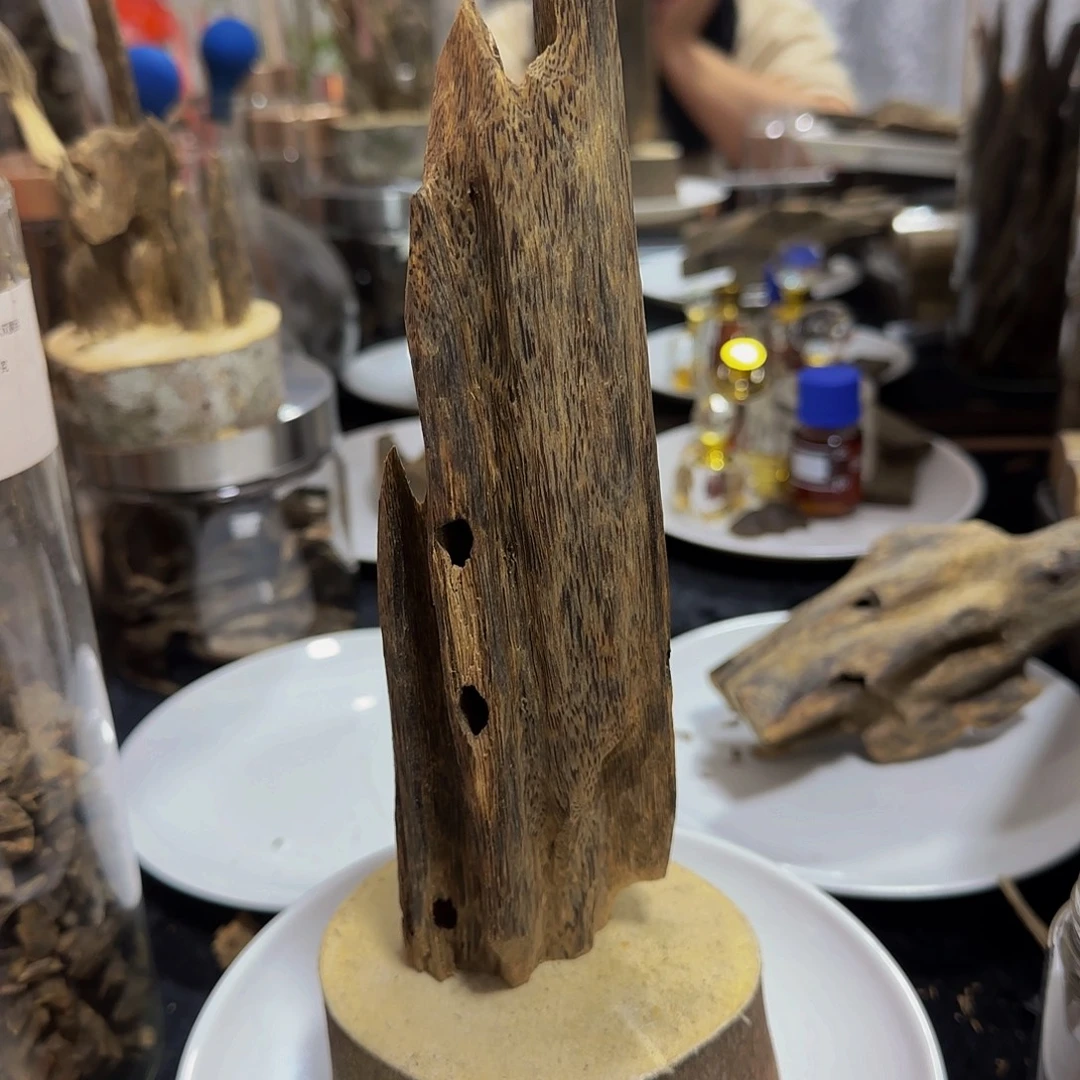 蓝***色沉香碎屑沉香精品99沉乌身树心油虫漏122.5克