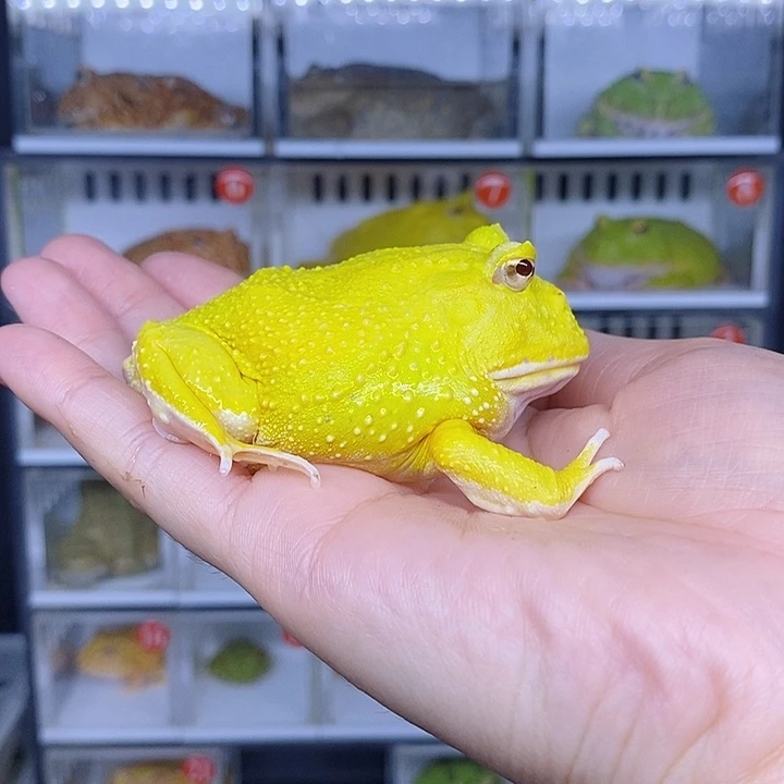 特价秒杀现货特价