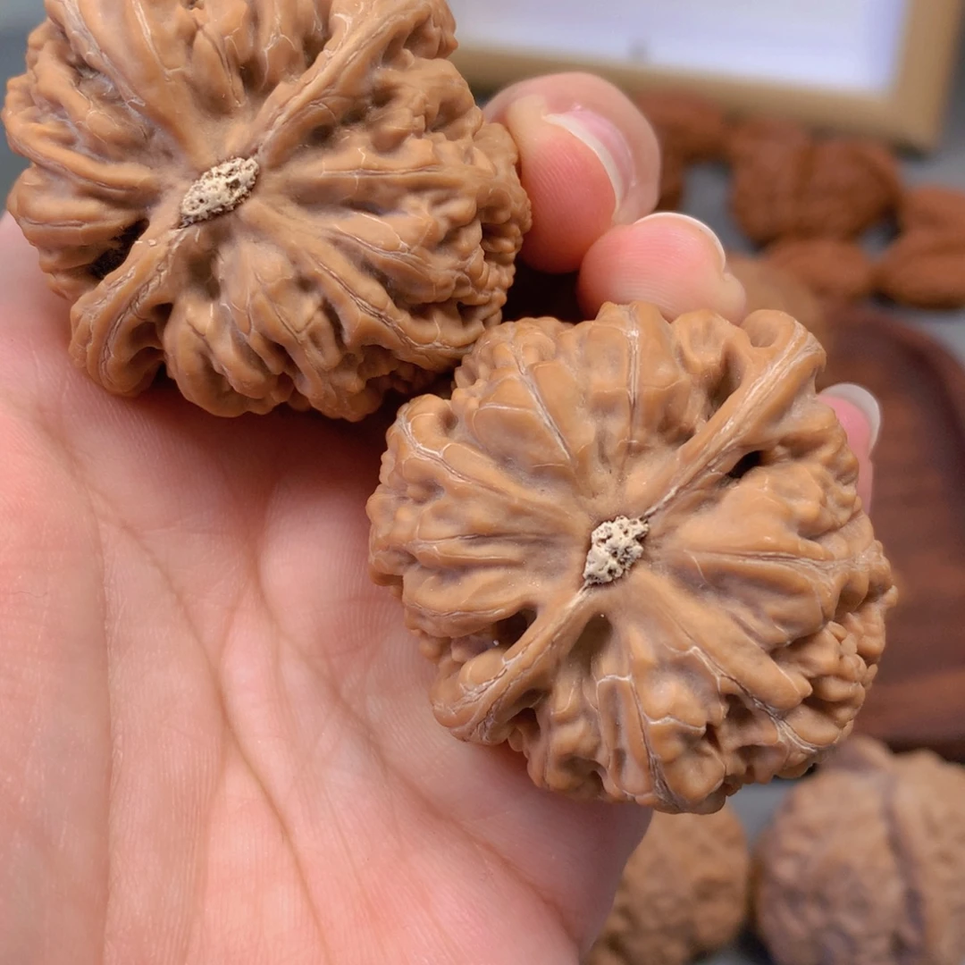 背***风文玩核桃把件粗筋43尺