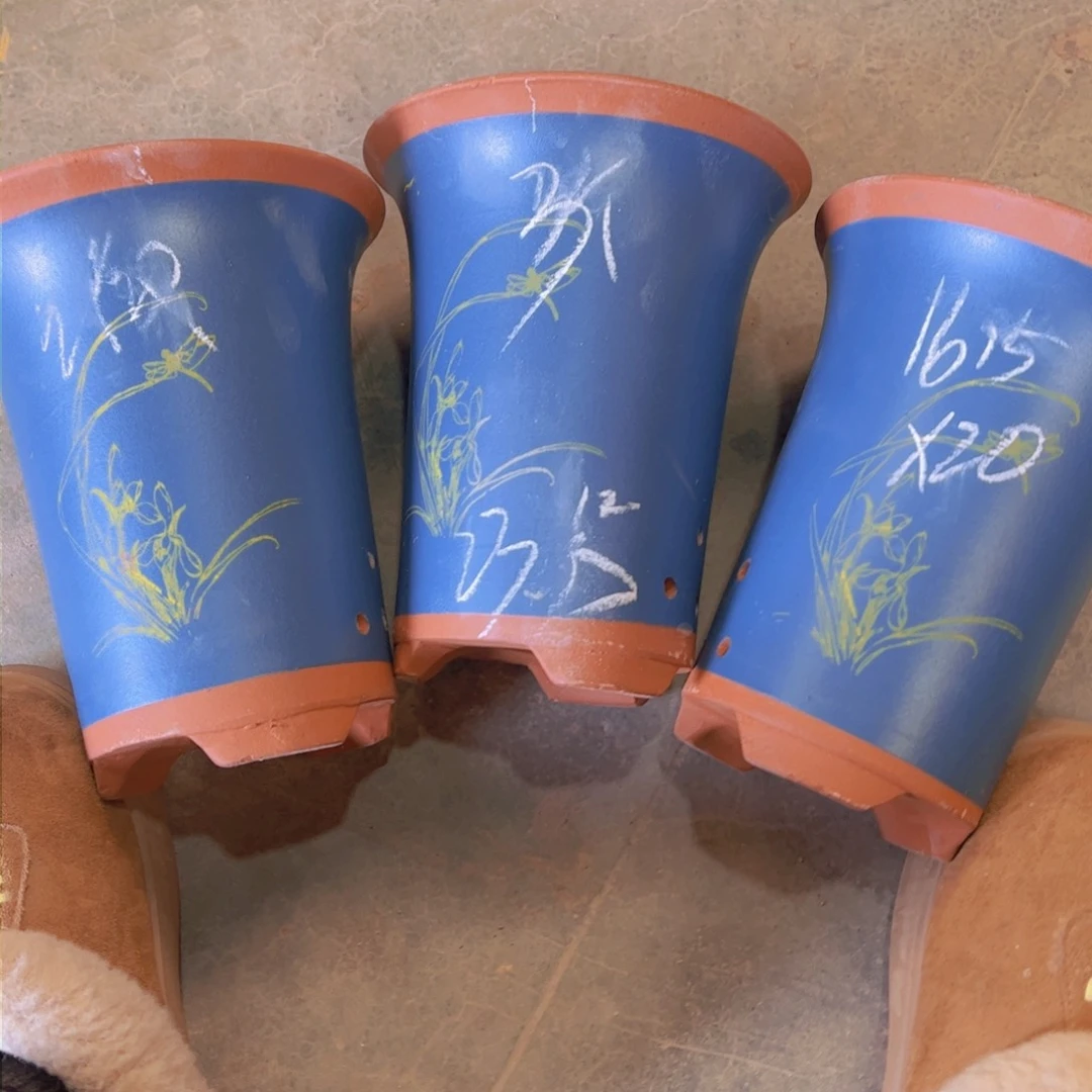 紫砂23……………………………………