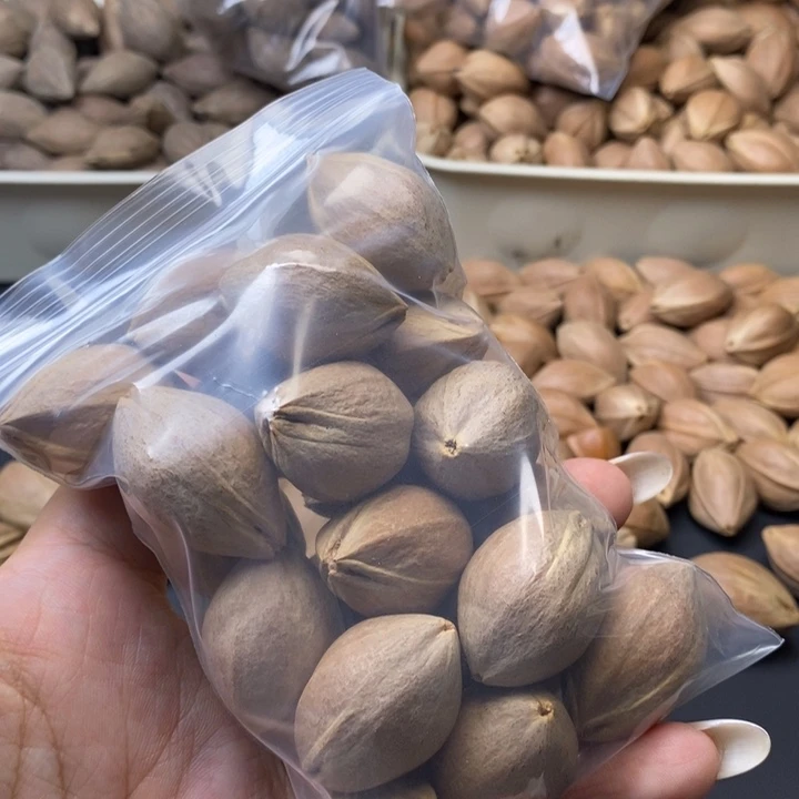 橄榄核手串/手链丁**丁