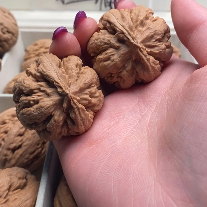 强***尊文玩核桃吊坠霸王龙