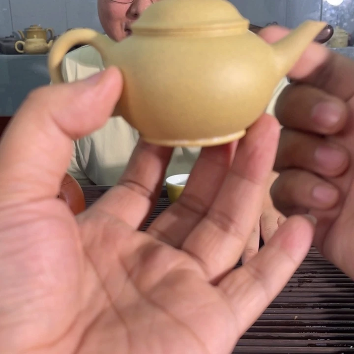 茶壶紫砂哈哈哈哈哈这个综艺节目