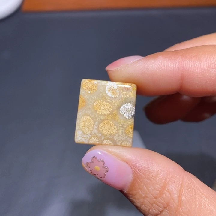 【闪购商品】未镶嵌珊瑚玉硅化玉