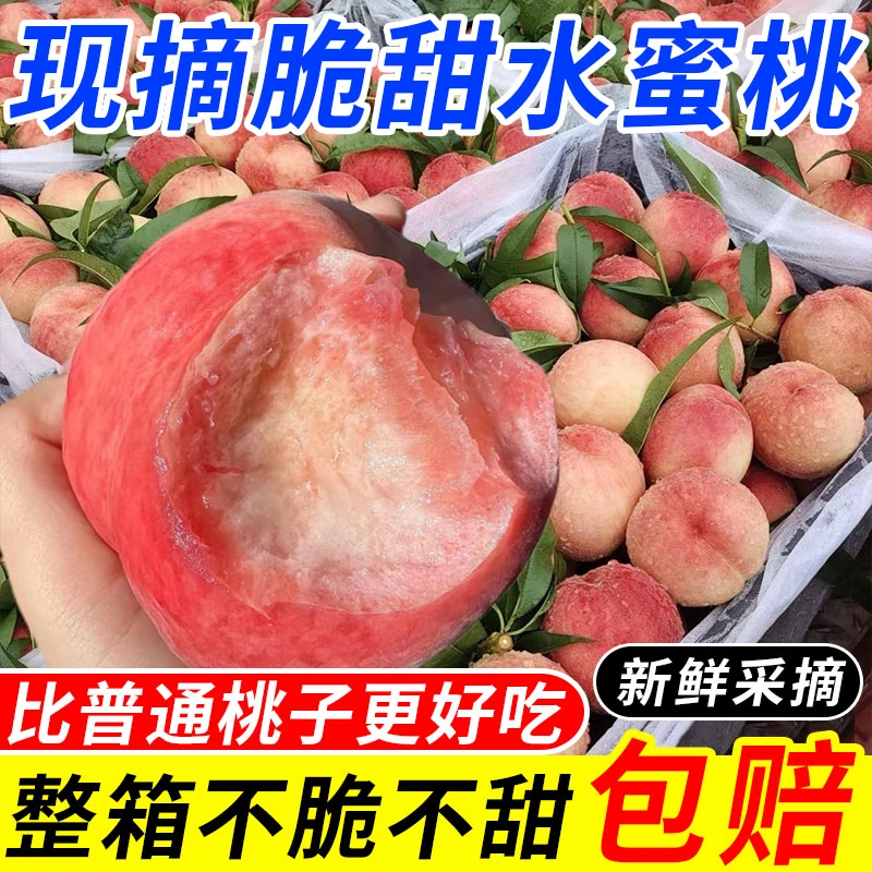 【爆甜】山西水蜜桃脆甜大果新鲜应季水果孕妇脆甜多汁整箱批发