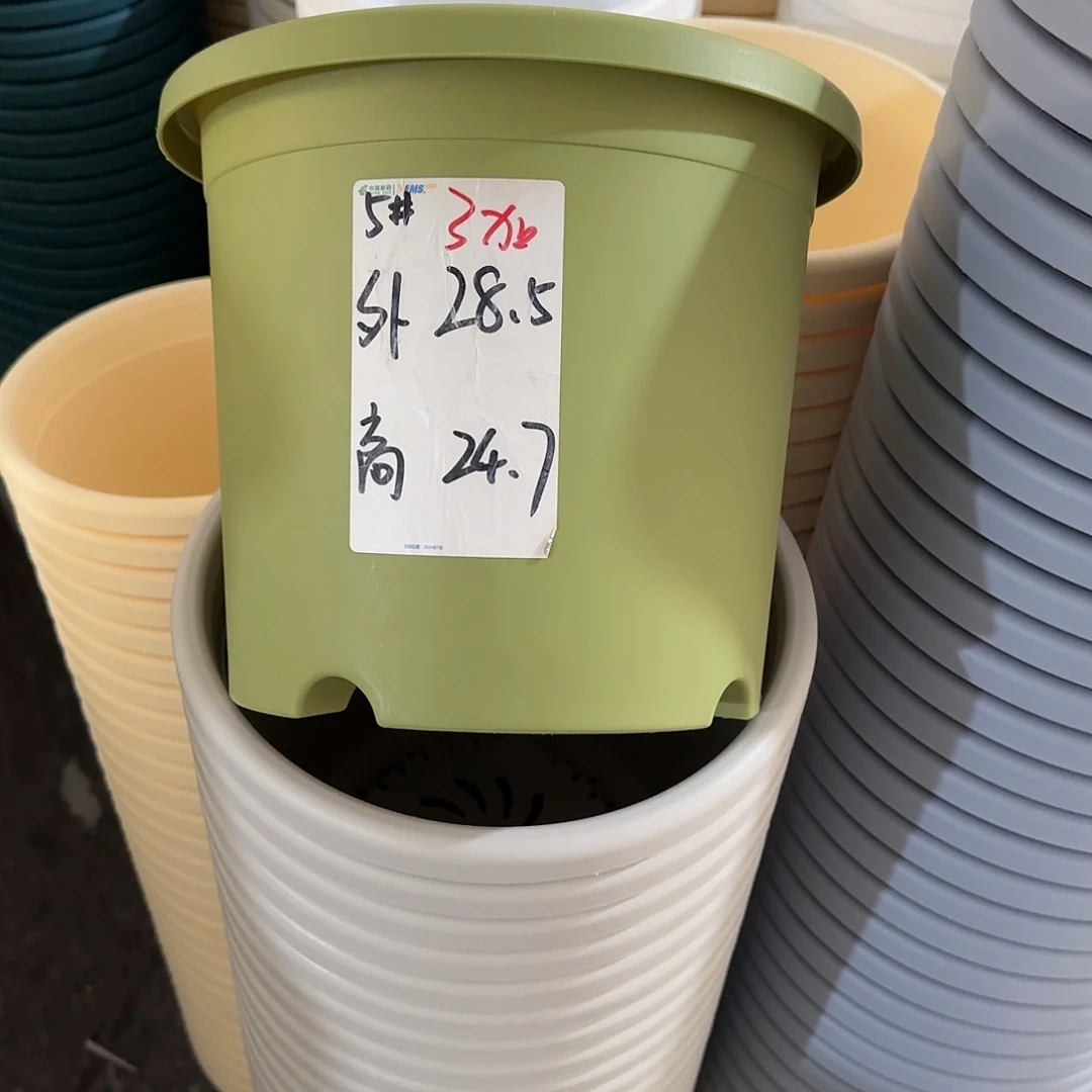 微瑕5号10个带托，颜色留言