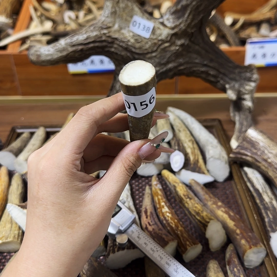 手串/手链鹿骨0156角尖