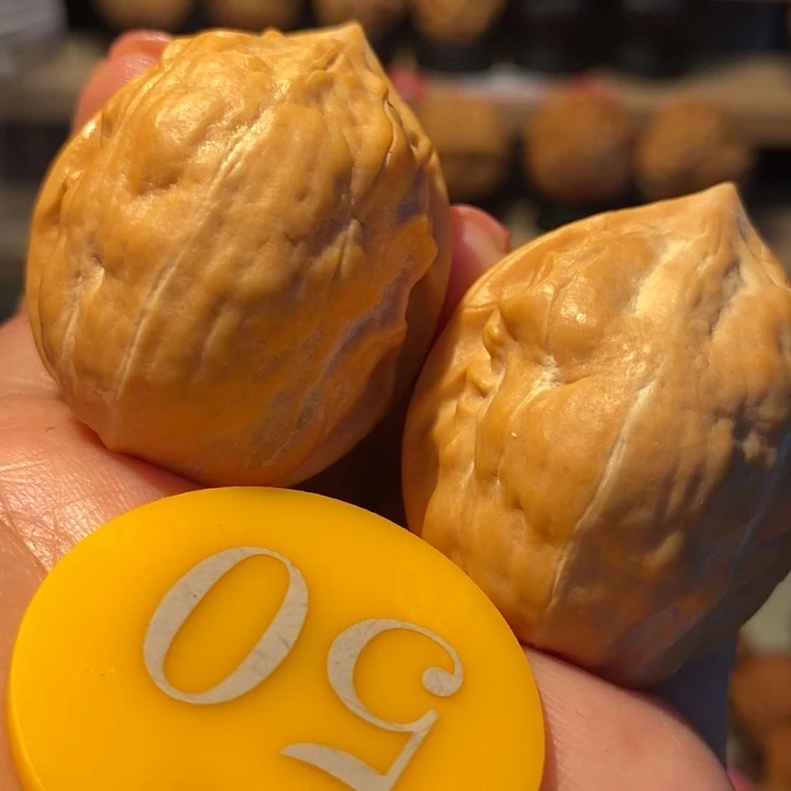 铁核桃马头琴37尺寸