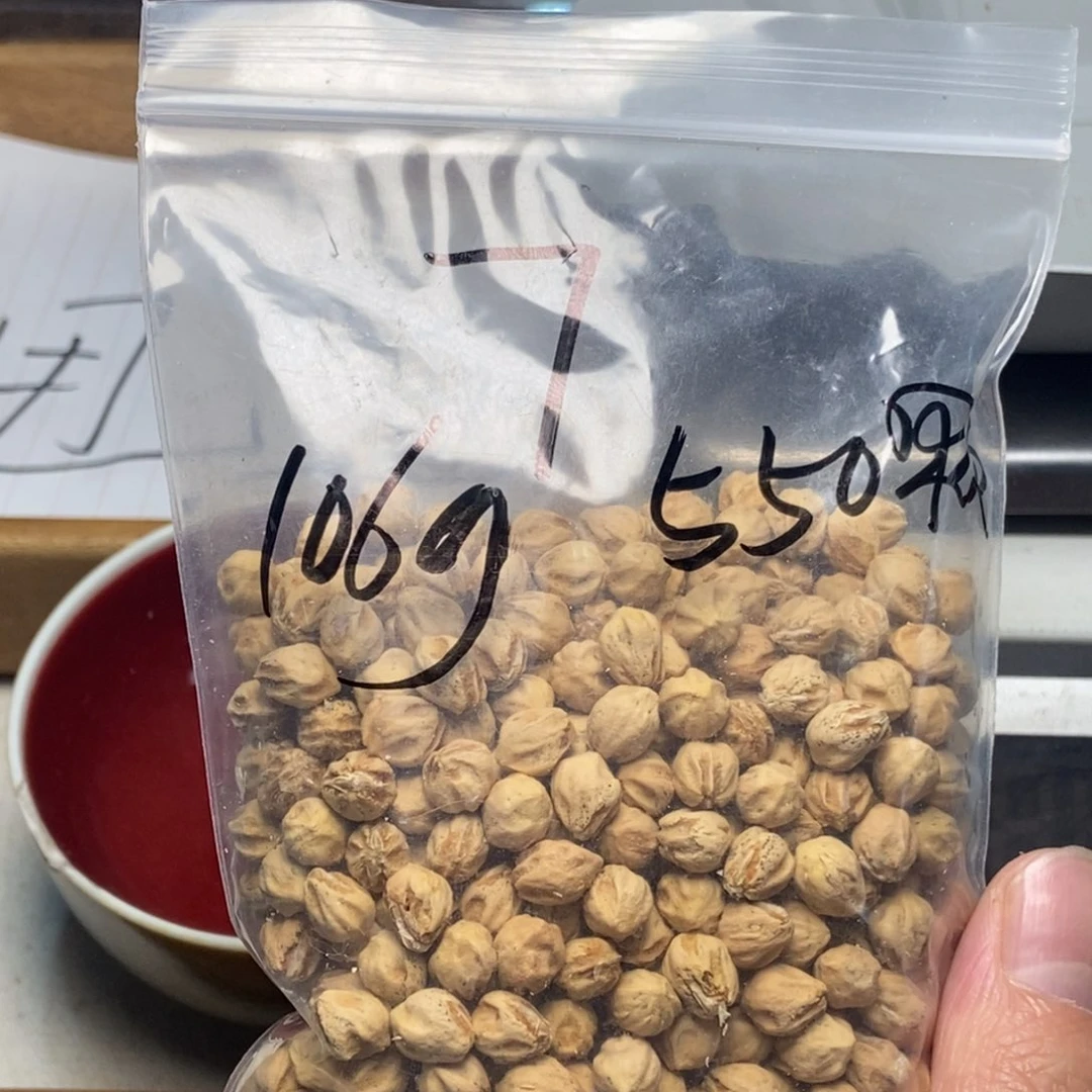 柏香籽/百香籽吊坠