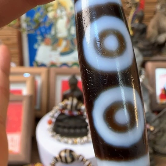 Bvvvvvvvvvggggggggggggggg