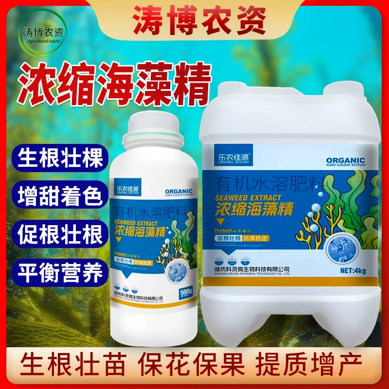 浓缩海藻精促生根壮苗绿叶靓果抗逆大田作物通用水溶肥