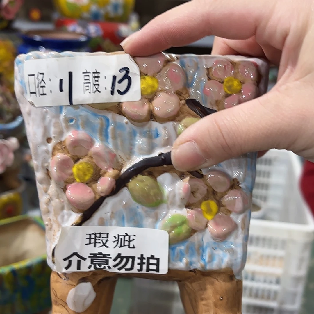 【闪购商品】红陶福利