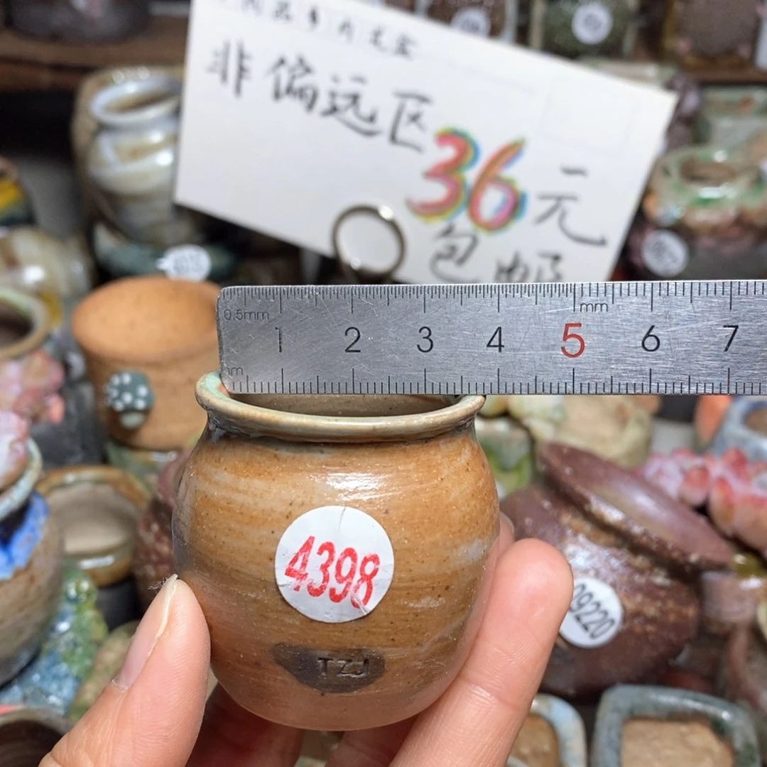 花盆拍5送一个小礼物