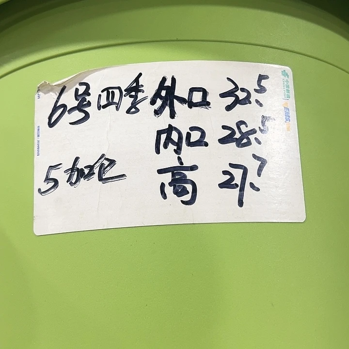 特价6号口32高27白色7只无托
