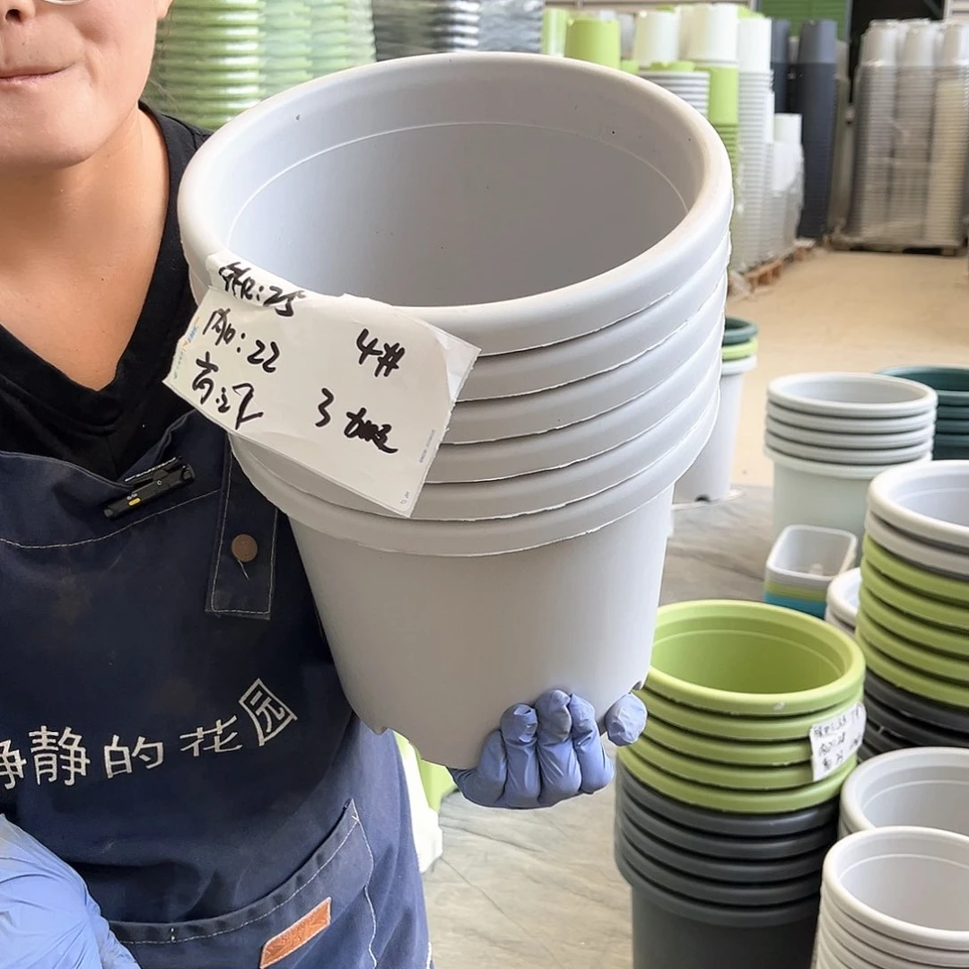 四季盆4#灰白色8个无托