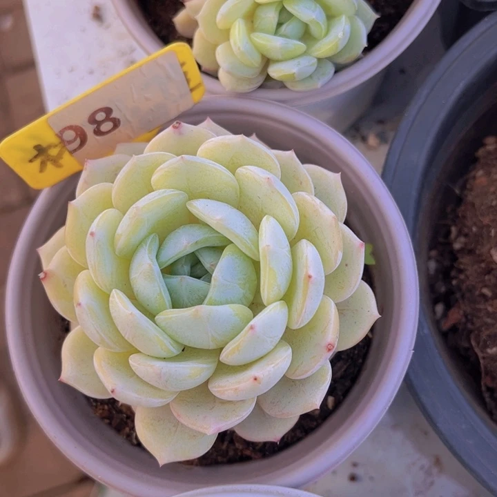 健健康康平平安安