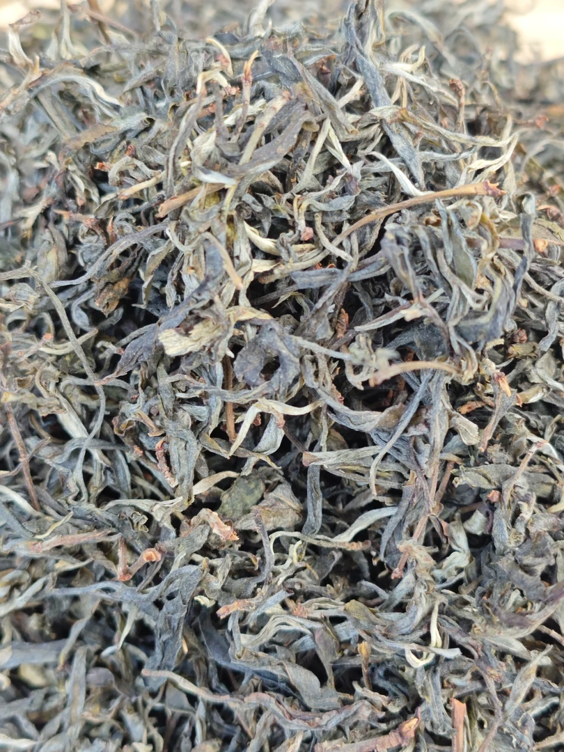 2025年正气塘古树 云南普洱茶 生茶 、散茶
