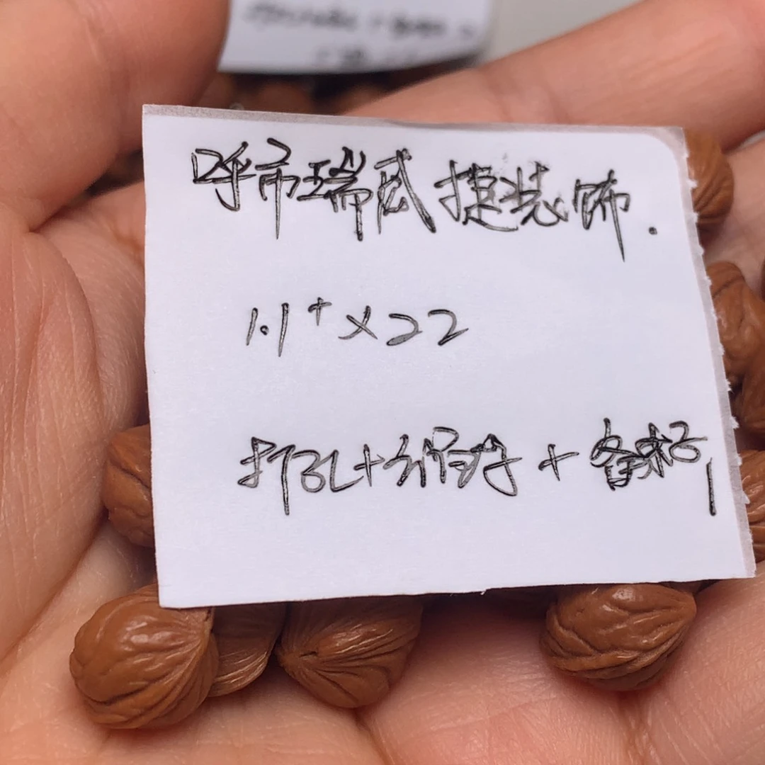 龙纹桃核散子小—
