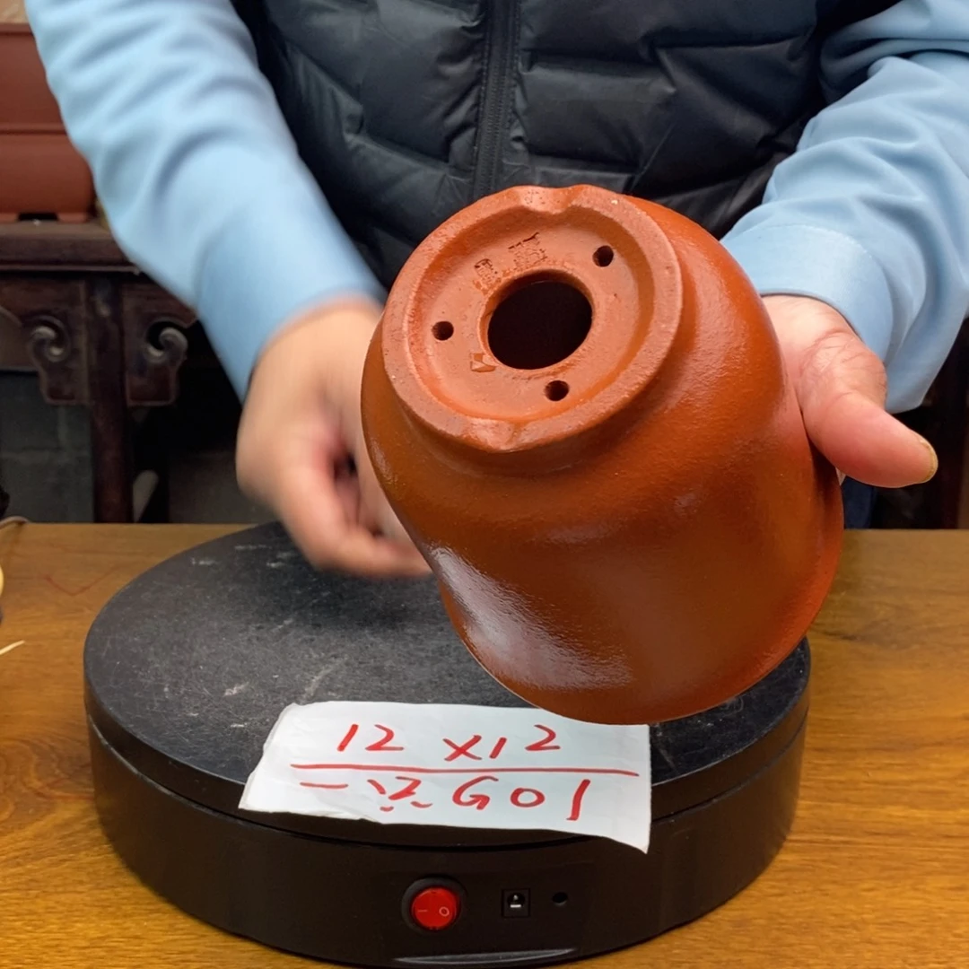 紫砂G01 货号一只