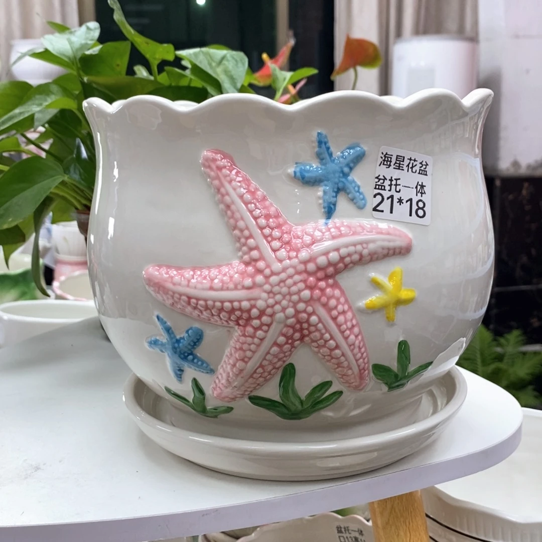 陶瓷@陶瓷花盆@@特大海星
