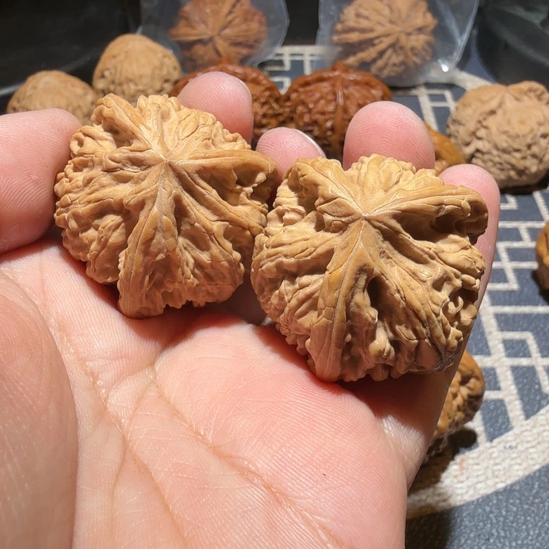 文玩核桃把件御龙