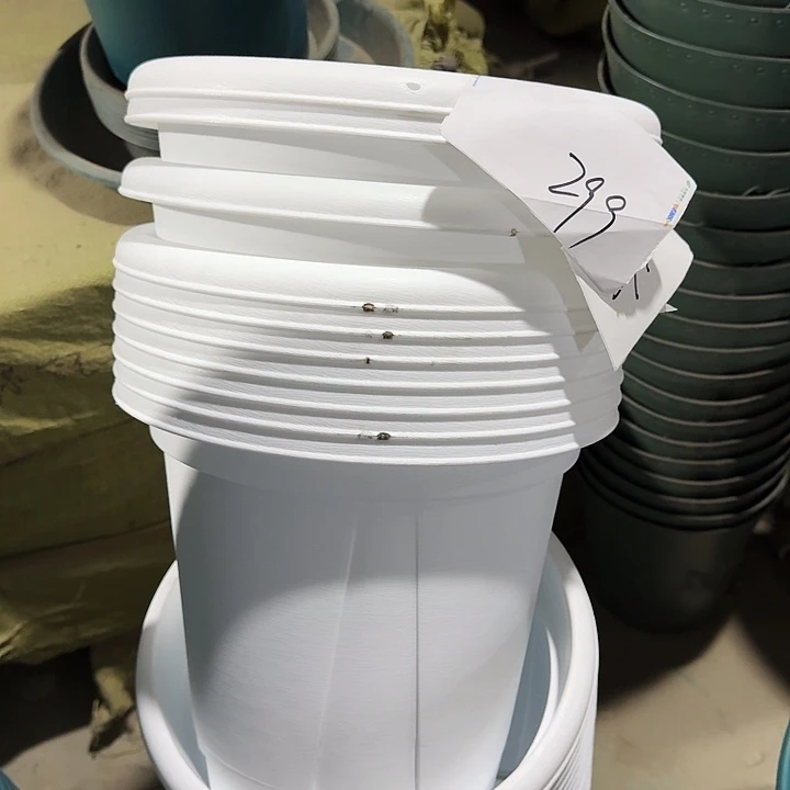 青山6#口径32白色5个无托瑕疵