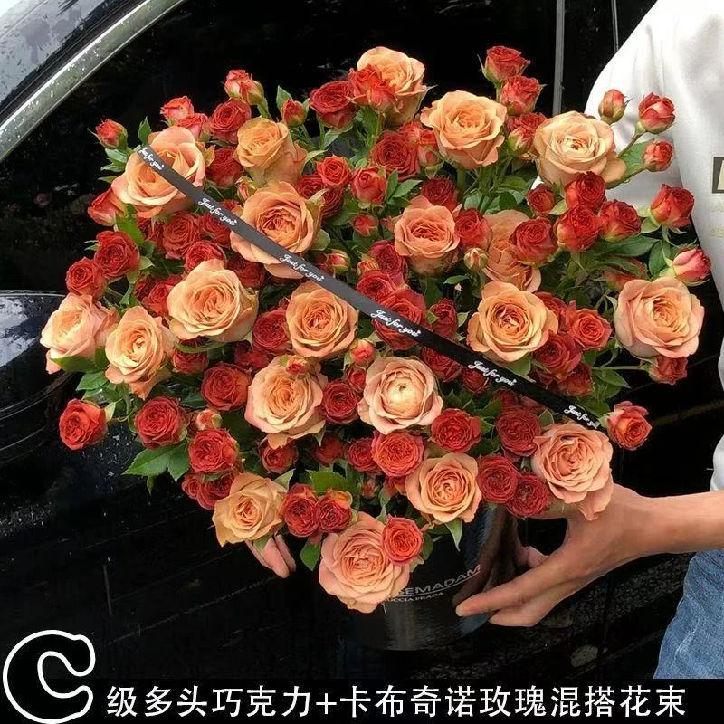 卡布奇诺巧克力混搭多头泡泡玫瑰云南基地直发水养鲜花