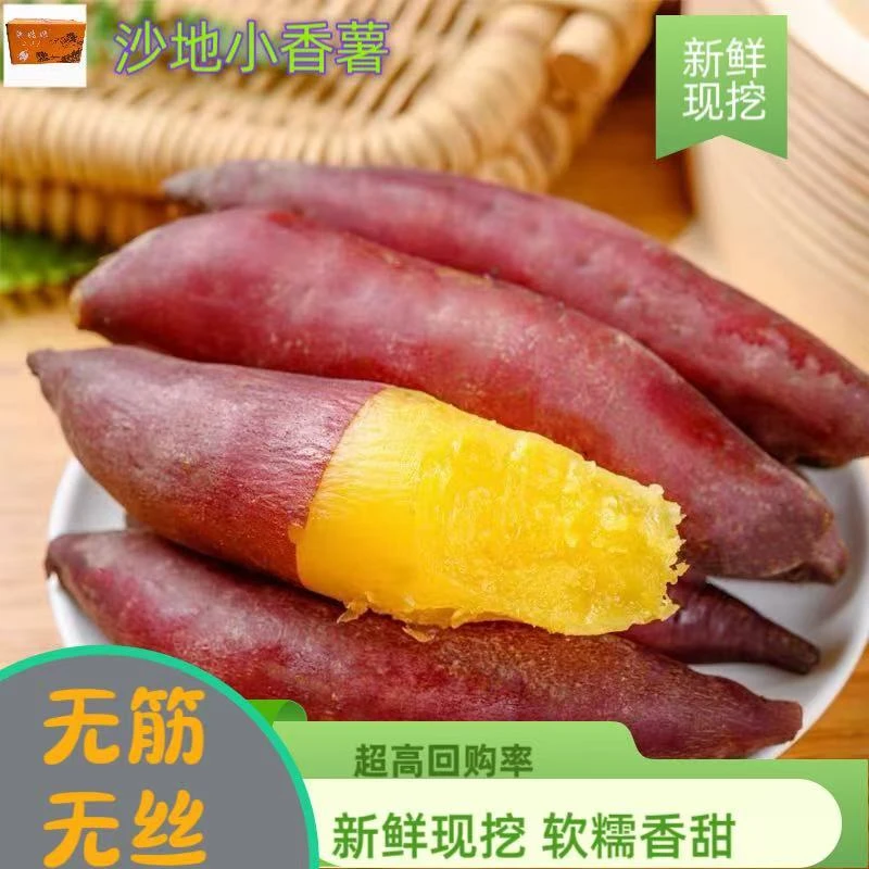 正宗天目山小香薯黄心粉糯山芋农家红薯新鲜现挖板栗番薯烤地瓜