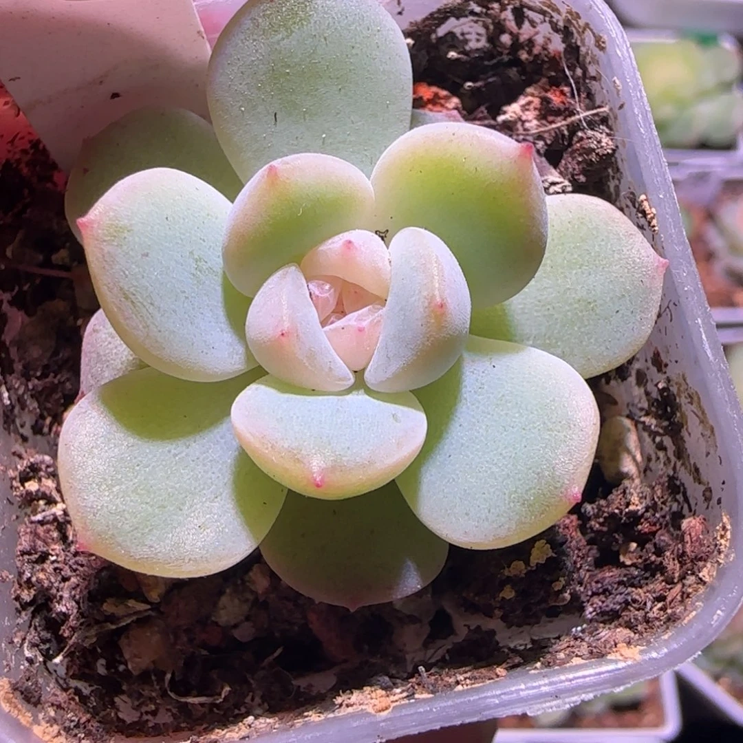 23-2福利财富密码CF4