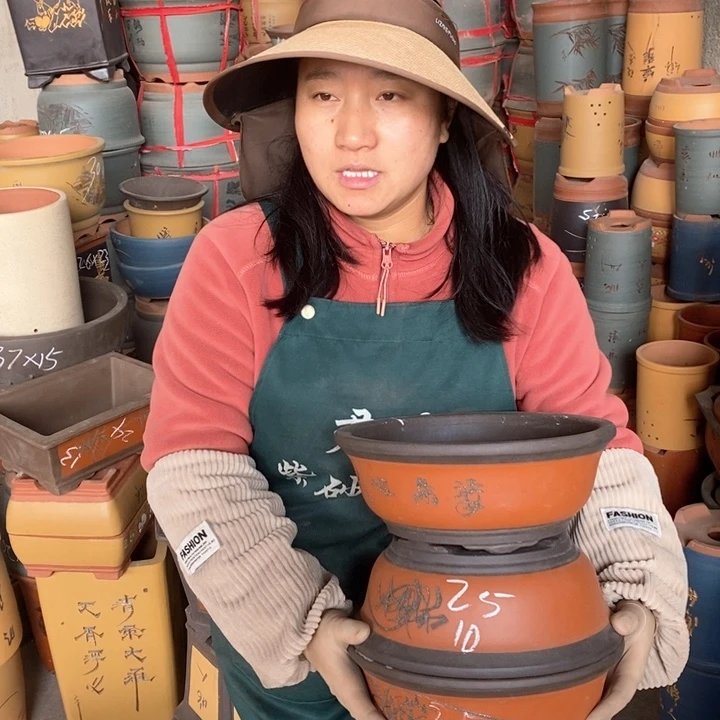 紫砂花盆盆栽花卉苗木种植