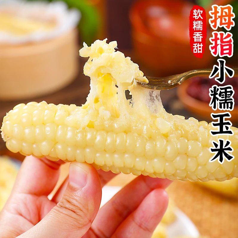【软糯香甜】云南拇指糯玉米1-5斤新鲜手指迷你小玉米宝宝嫩玉米