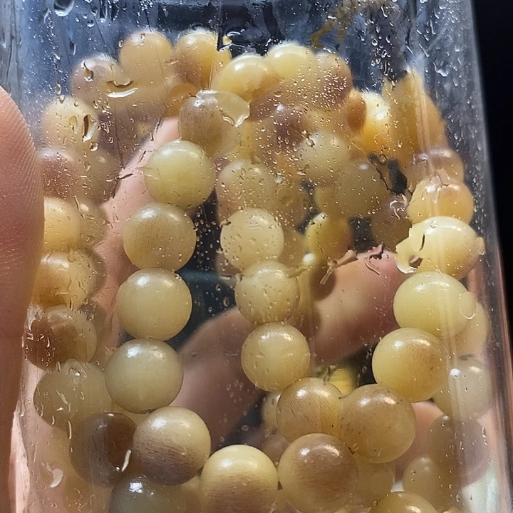 ****开牛骨手串/手链主播推荐