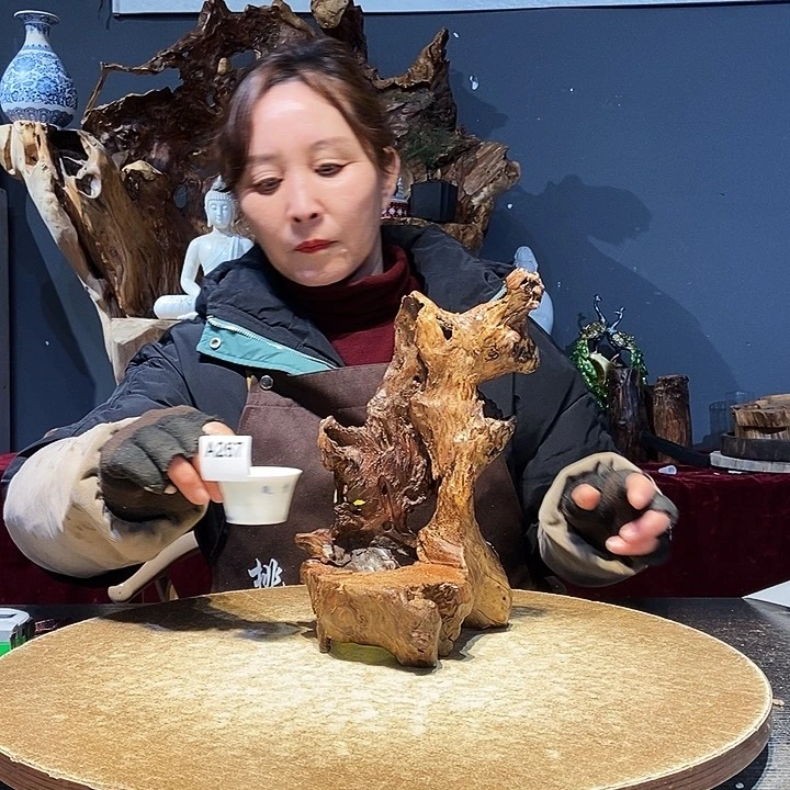 ?***?267株木底座随行根艺的