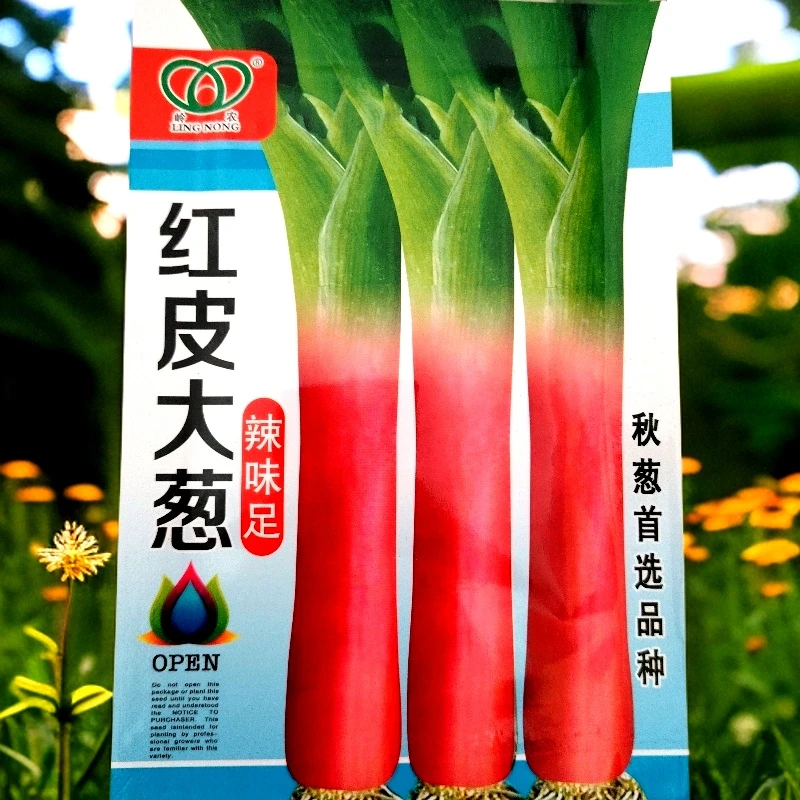 红皮大葱种子10克左右（小火葱辣味浓）