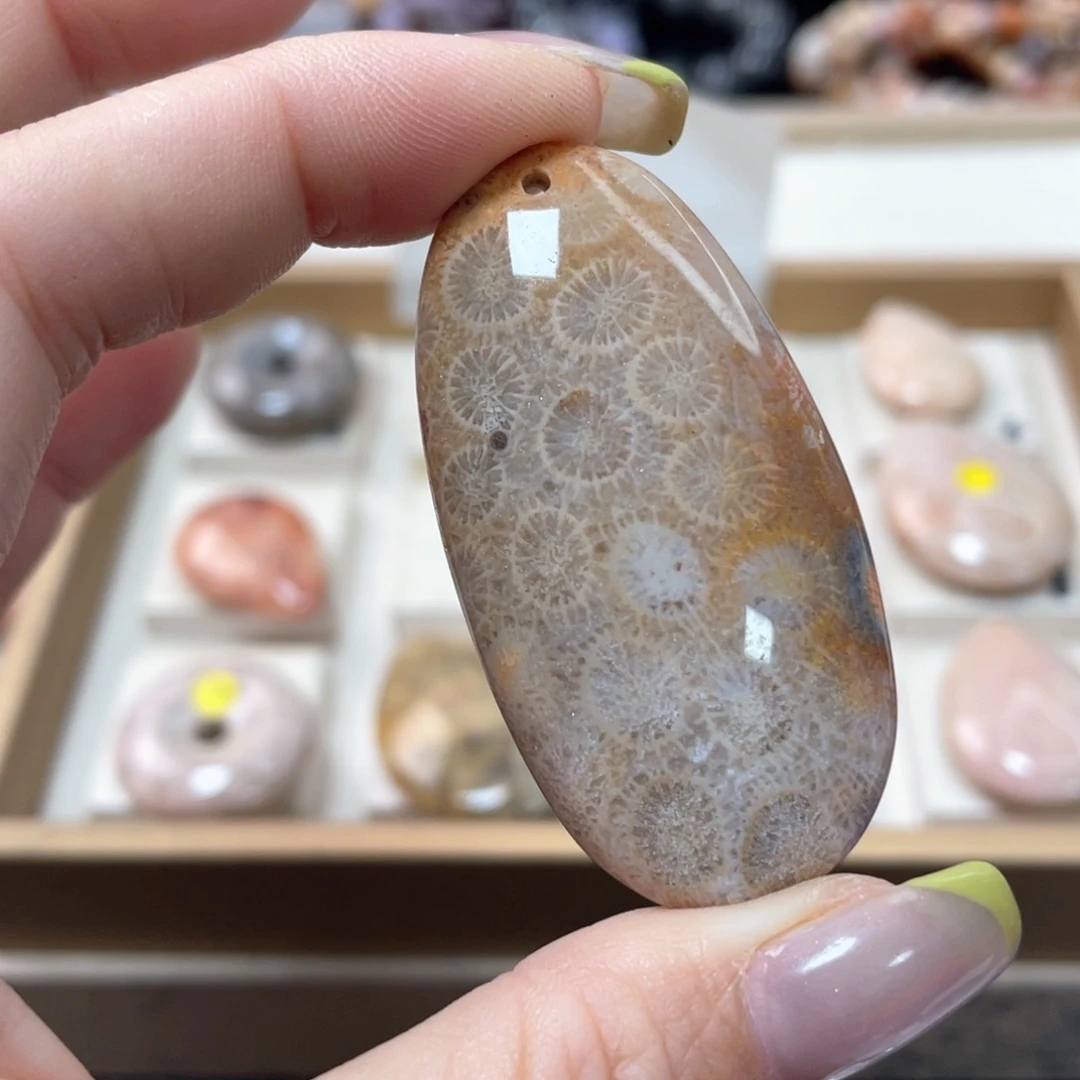 硅化珊瑚（珊瑚玉）手链未镶嵌用****3139