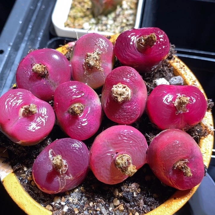 15260一组一组一组