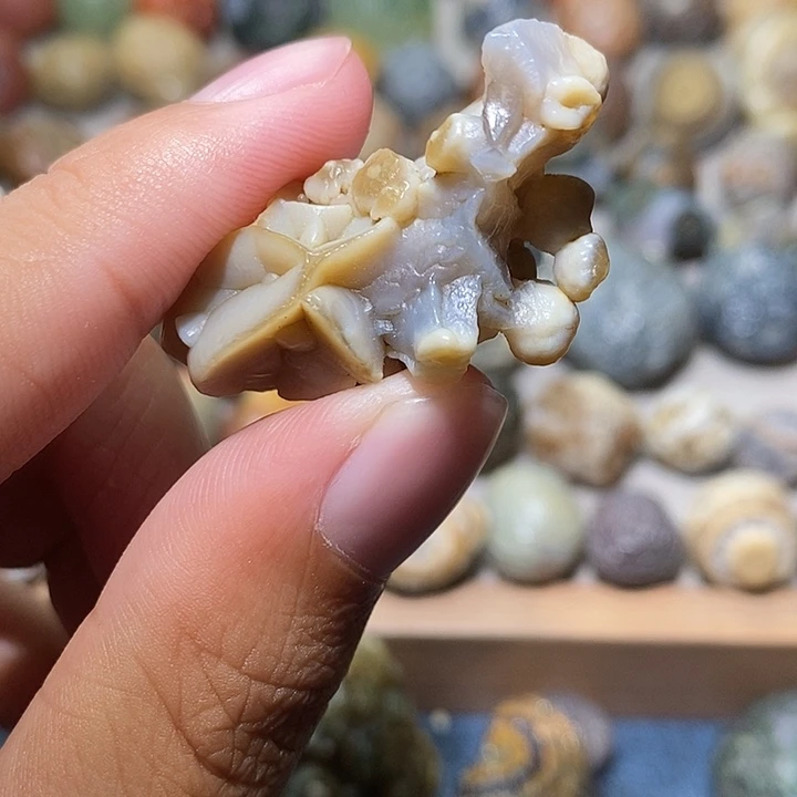 石头精品筋脉单科