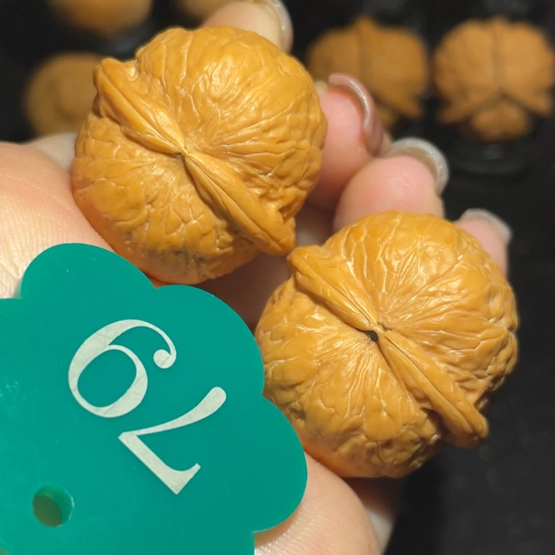 铃铛31尺寸核桃。
