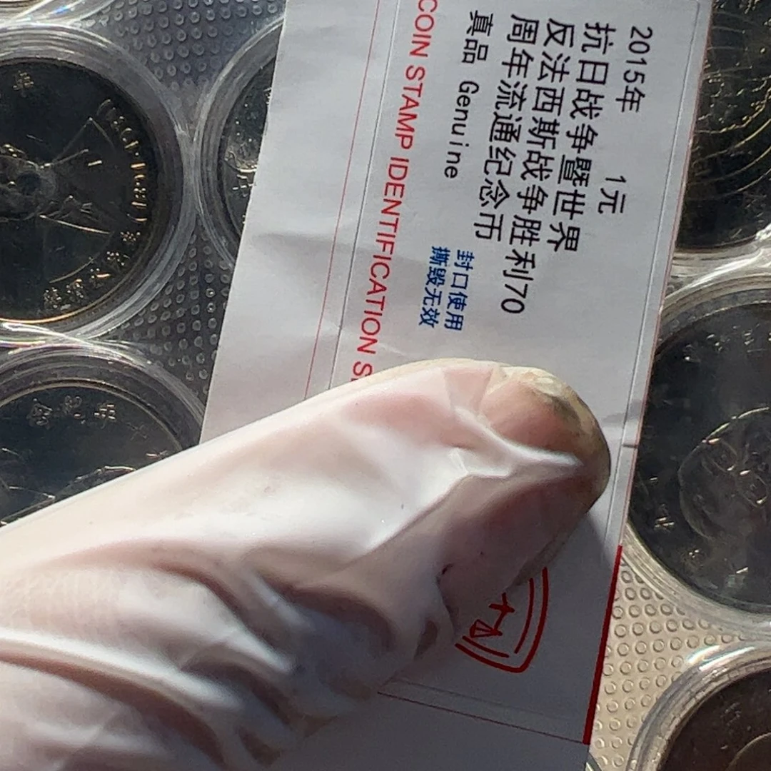其他普通金属套装10枚币